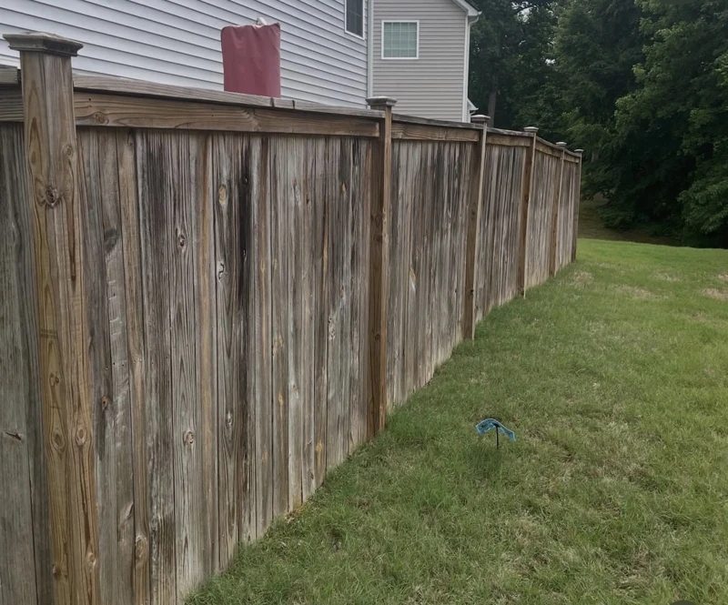 Fence Refresh — Side View: before