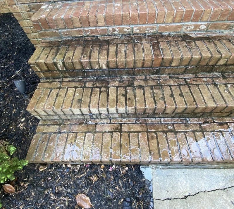 Pressure Washing: before