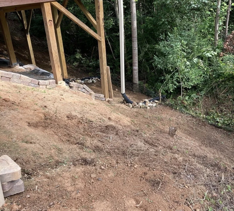 Yard Cleanup: after