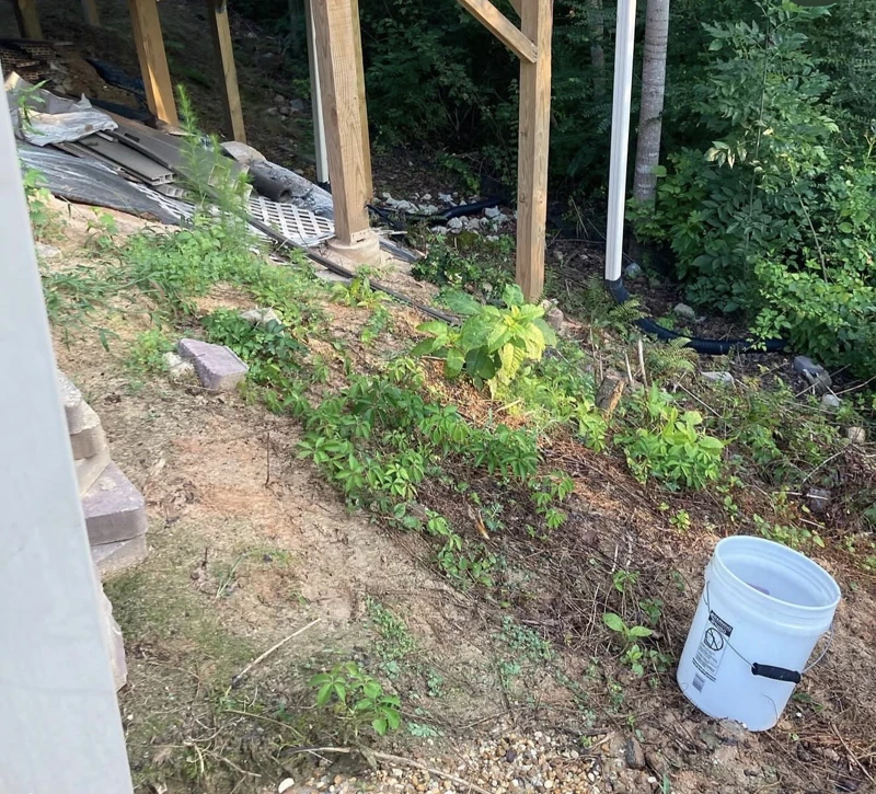 Yard Cleanup: before